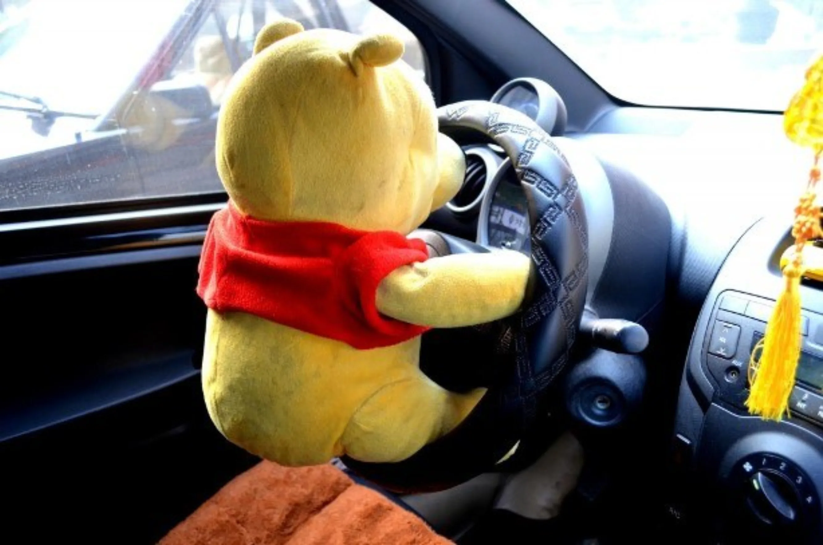 Bear driving small