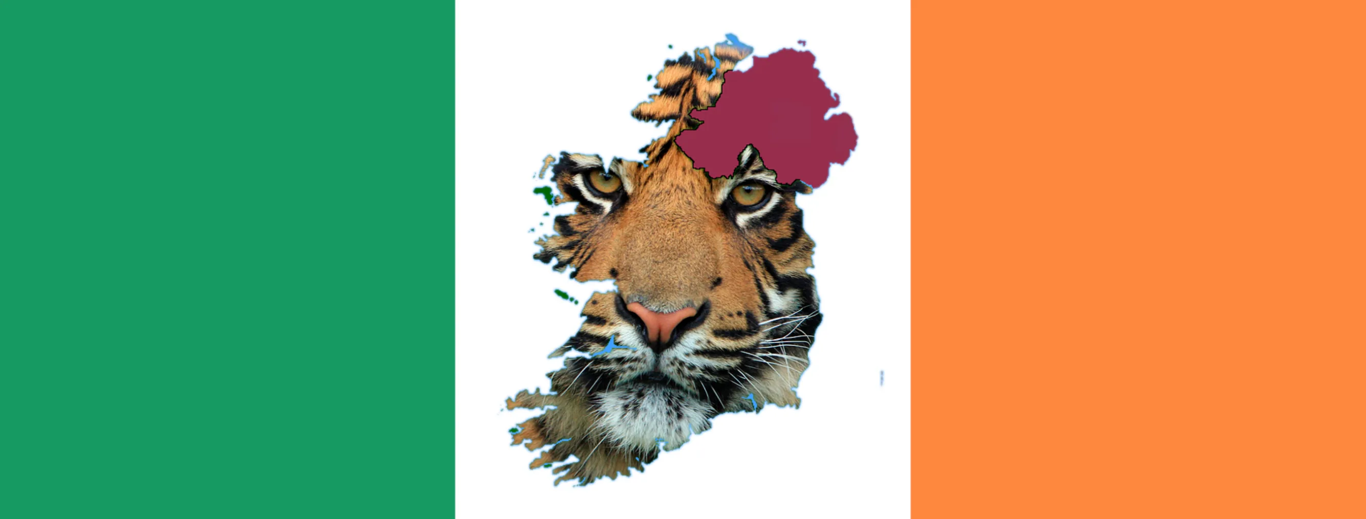 Celtic irland tiger