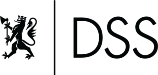 DSS logo pos